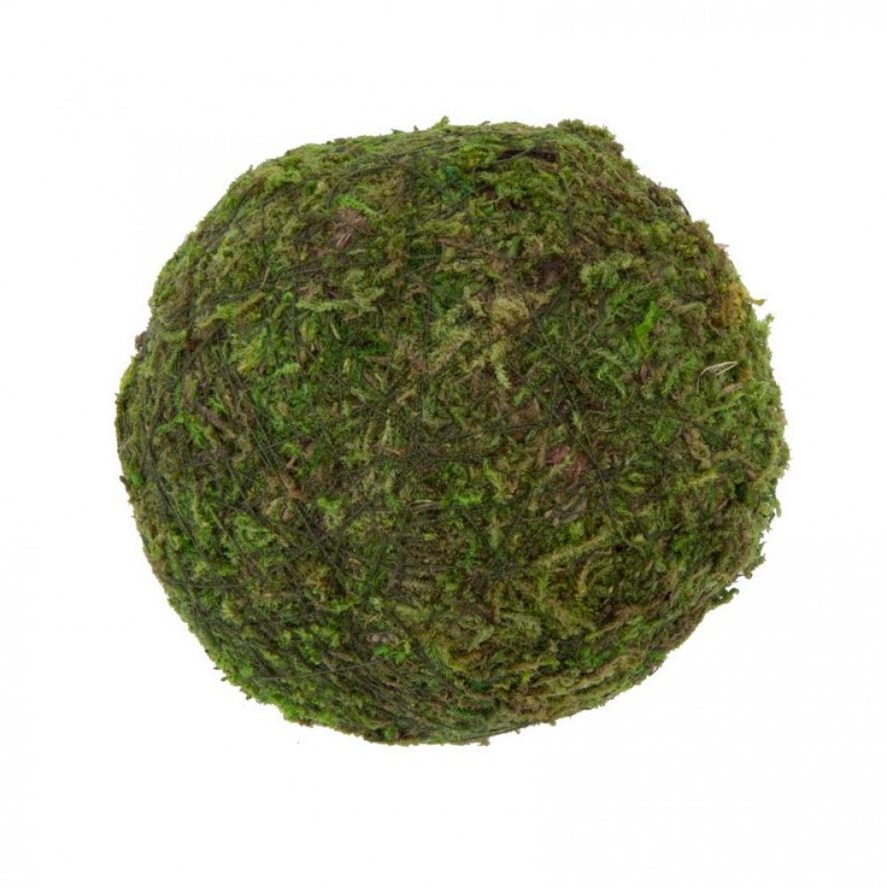 Natural Decorative Green/Brown Moss 3" Ball