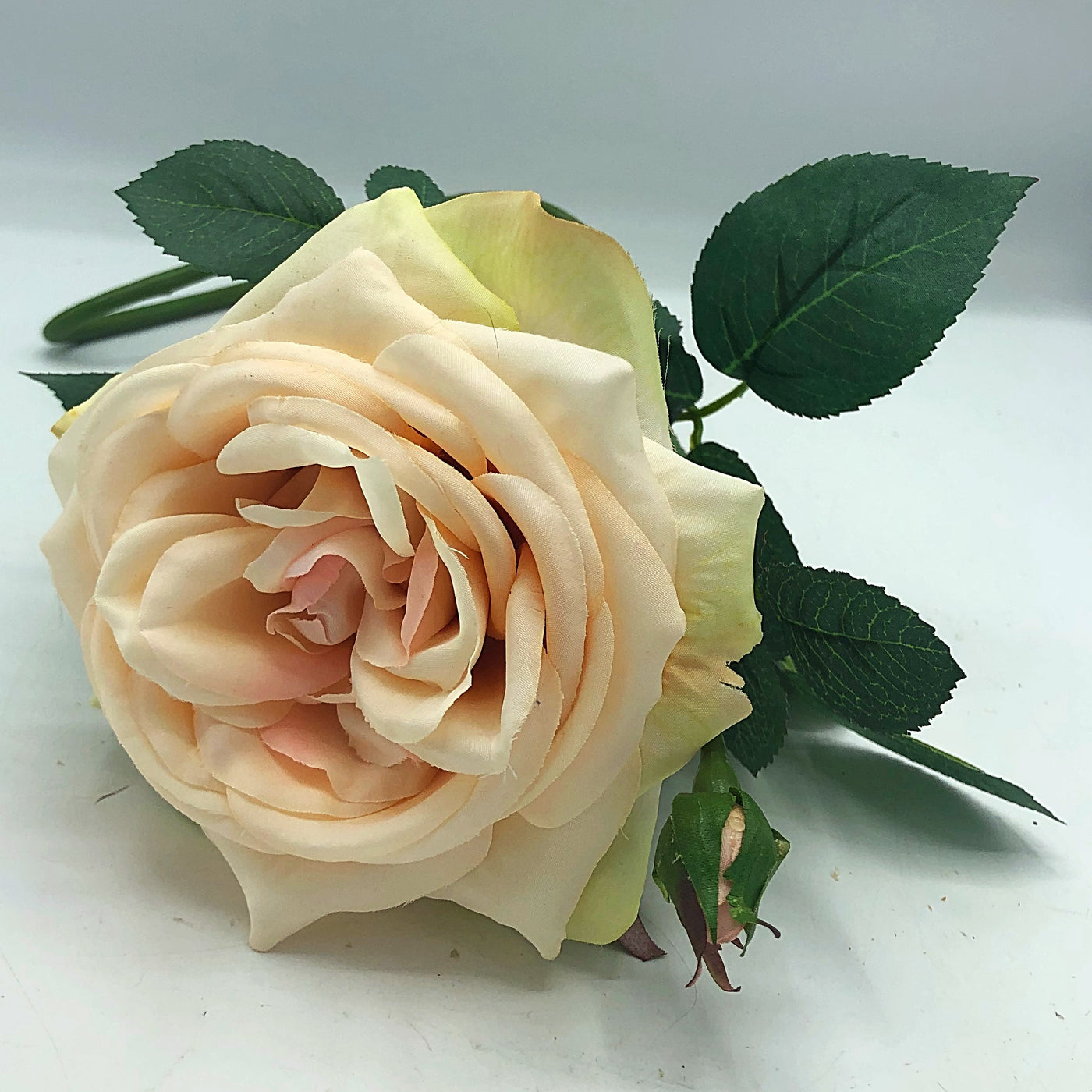 Open Blush Rose 24" Faux Floral Stem