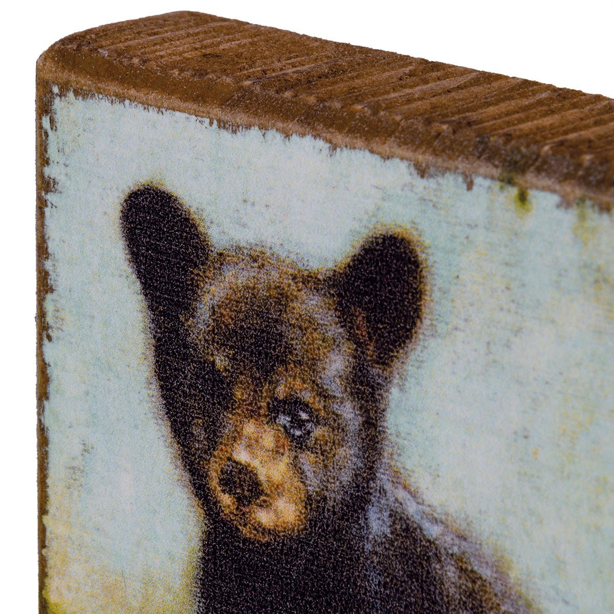 Bear Cub Natural Small Box Sign