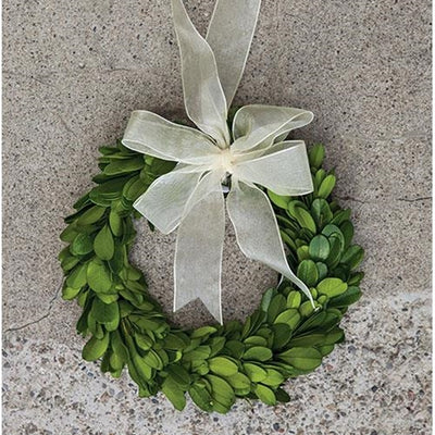 Boxwood 6" Hanging Wreath Ring with Ribbon