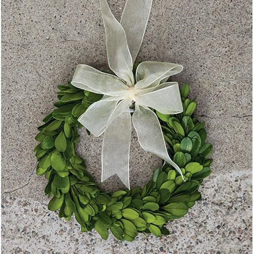 Boxwood 10" Hanging Wreath Ring with Ribbon