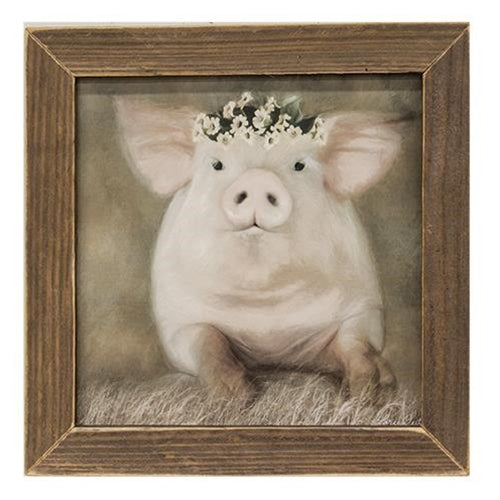 Sophia the Pig Framed Print