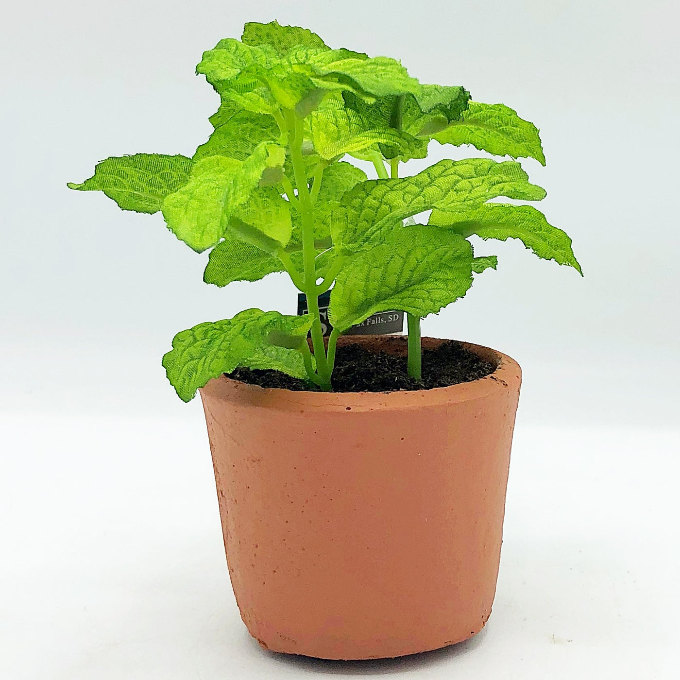 Mint Faux Herb 6" Plant in Clay Pot