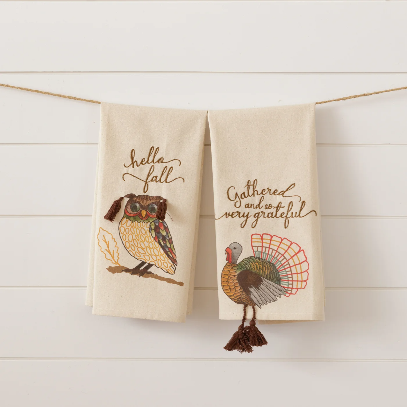 Set of 2 Owl And Turkey Fall Thanksgiving Tea Towels
