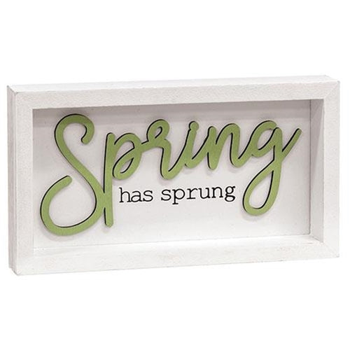 HAPPY BIRTHDAY🎂 💙 Spring Has Sprung Shadowbox Framed Sign