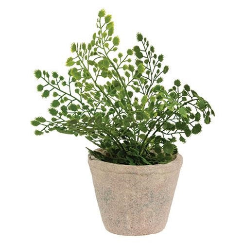 Surprise Me Sale 🤭 Elegant Fern 8" Faux Foliage Plant in Cement Pot