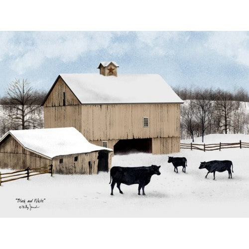 Billy Jacobs Black and White Cows Winter Scene 12" x 16" Canvas Print