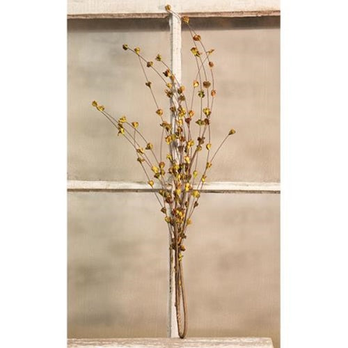 💙 Willow Sprouts Spray 26" L