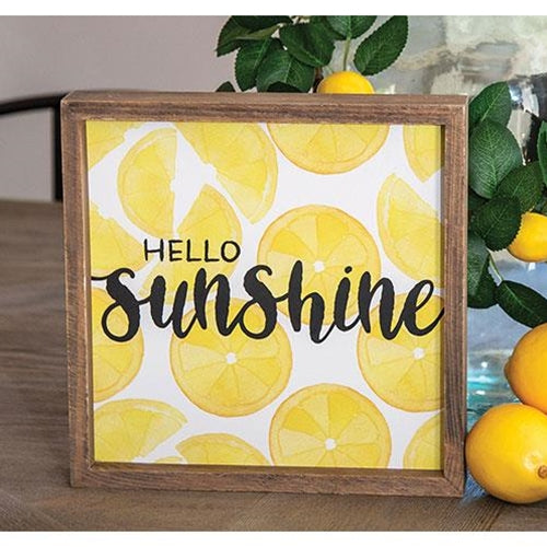 Hello Sunshine Lemon Slices Framed Box Sign