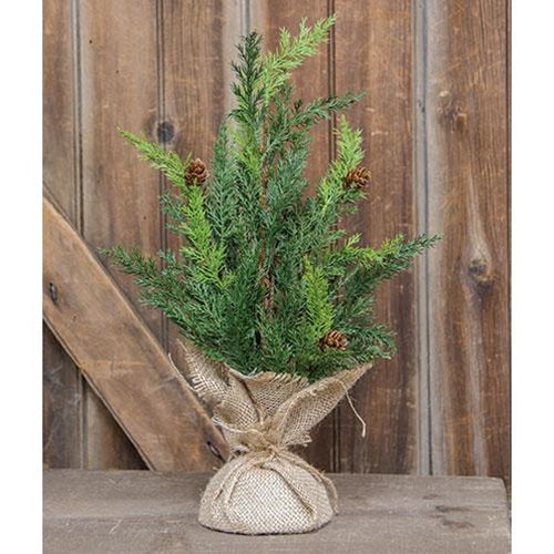 💙 Prickly Pine Christmas Green 18" Tree