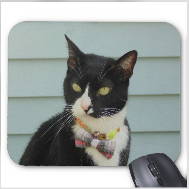 Cat Mouse Pad - Dapper Kitty - Mouse Pad