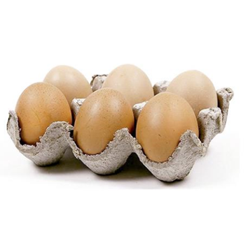 💙 Set of 6 Brown Resin Eggs
