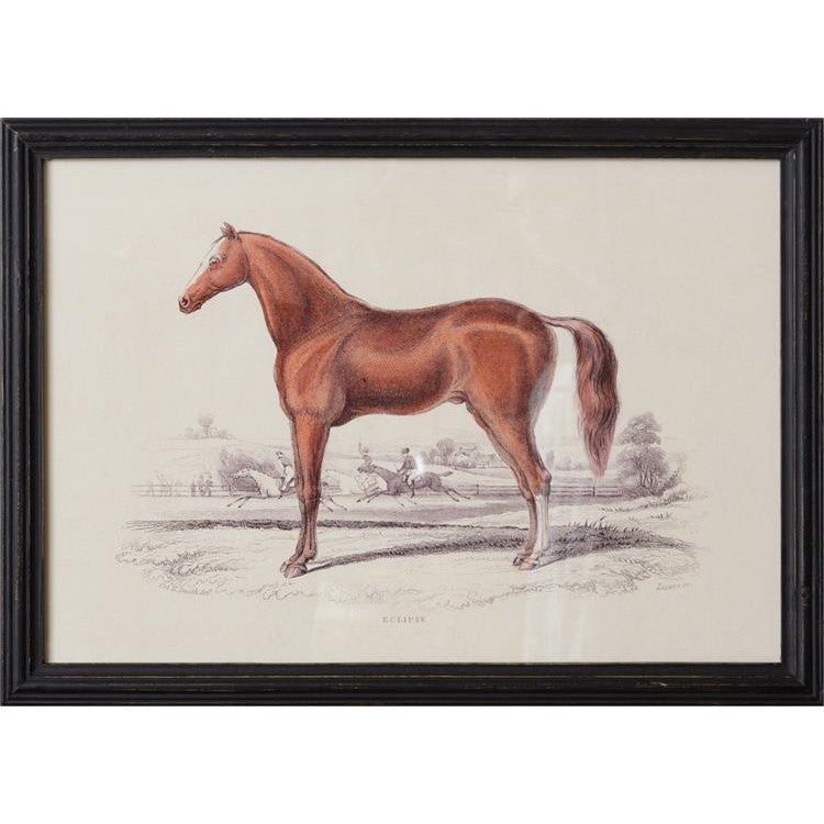 Horse Illustration Framed Print 22"