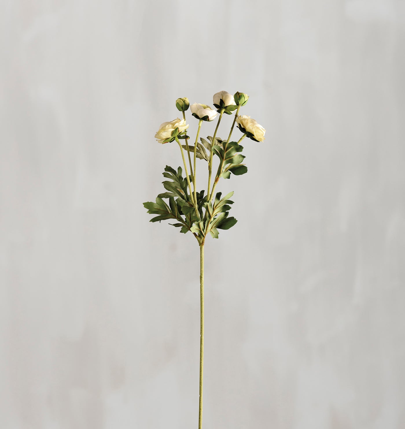 Surprise Me Sale 🤭 White Ranunculus 26" Faux Floral Stem