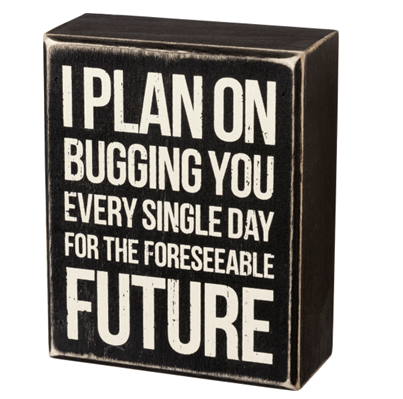 💙 Plan On Bugging You Every Single Day Small Wooden Box Sign