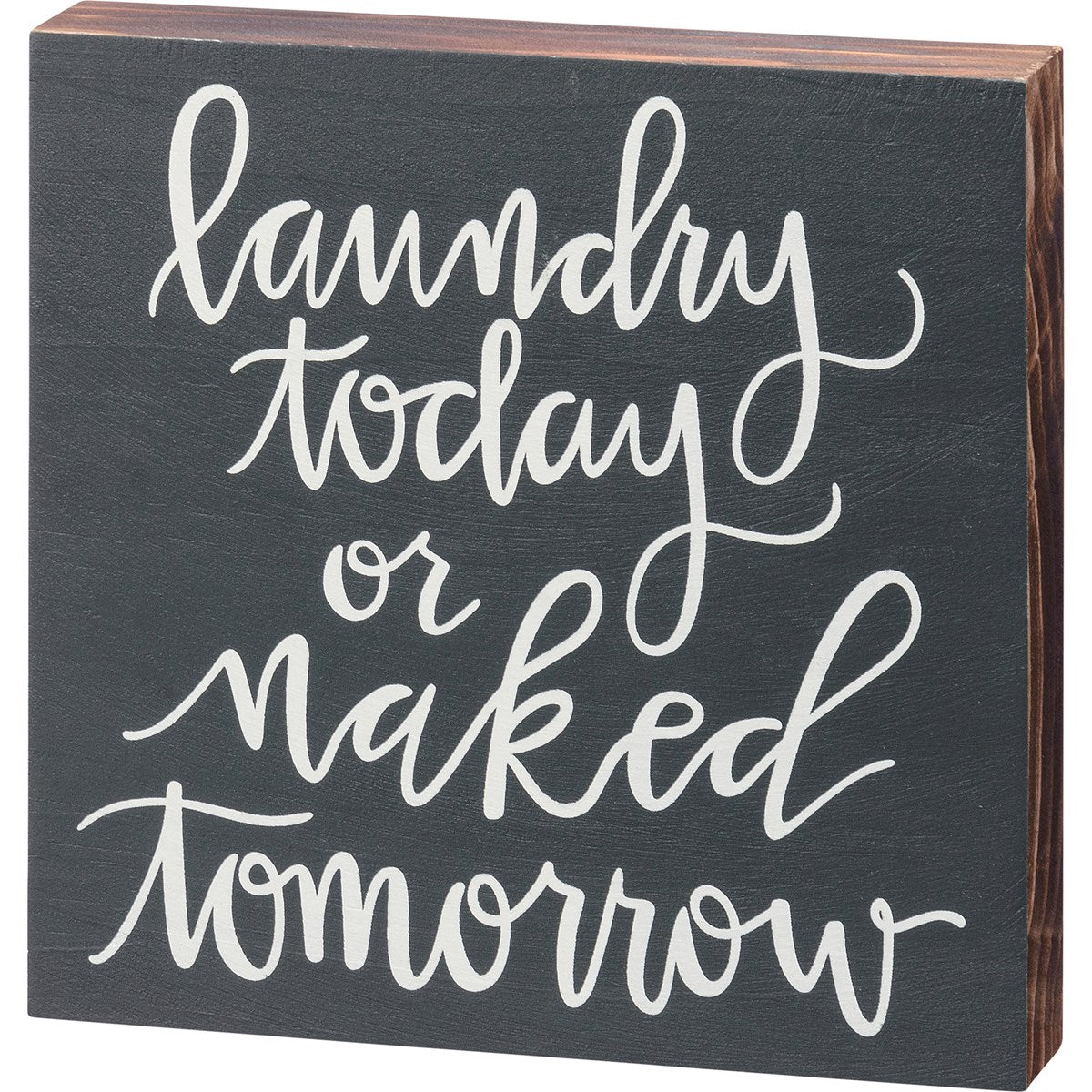 💙 Laundry Today Or Naked Tomorrow Block Sign