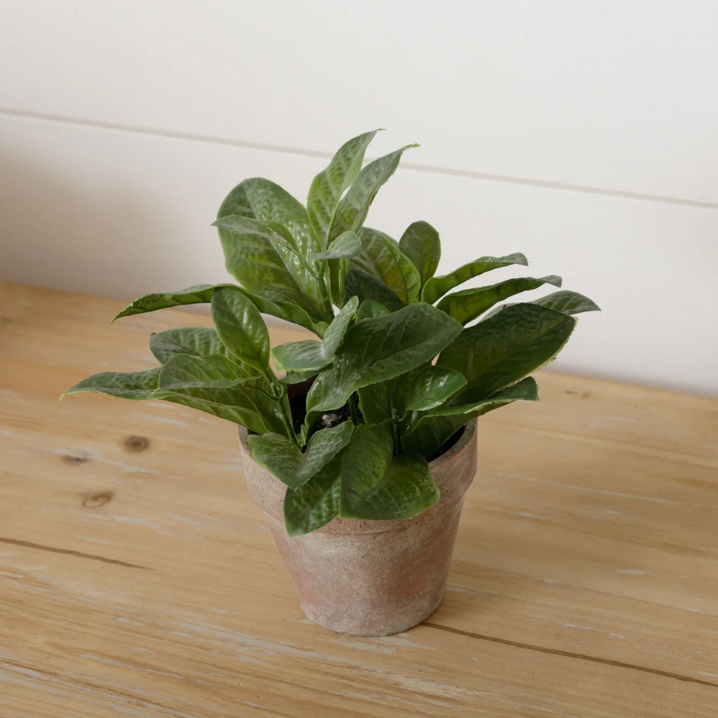 Basil in Terra Cotta Pot 7" Faux Herb Plant