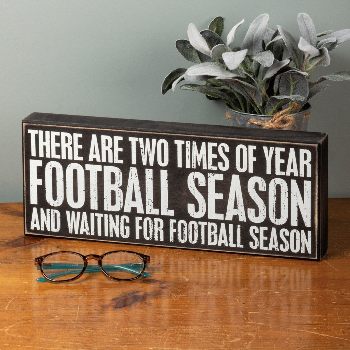 Two Times of Year Football Season & Waiting for Football Season 15" Sign