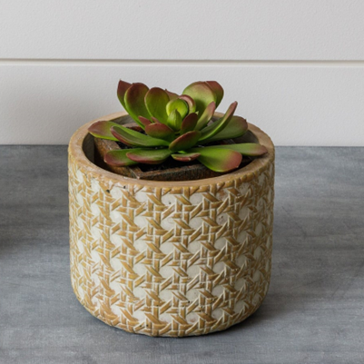 Cement Caning Patterned Planter 4.25" H
