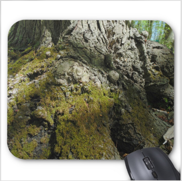 Nature Photo Mouse Pad - North Side Tree - Mouse Pad