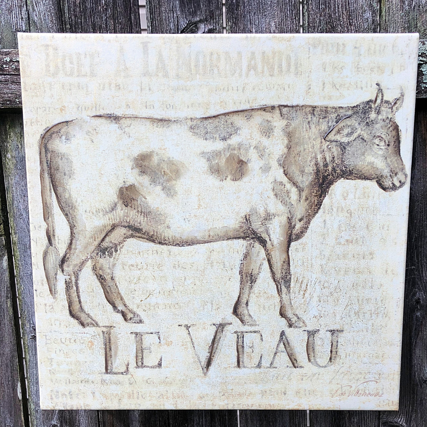 💙 Le Veau Cattle Square Canvas Print on Wooden Frame