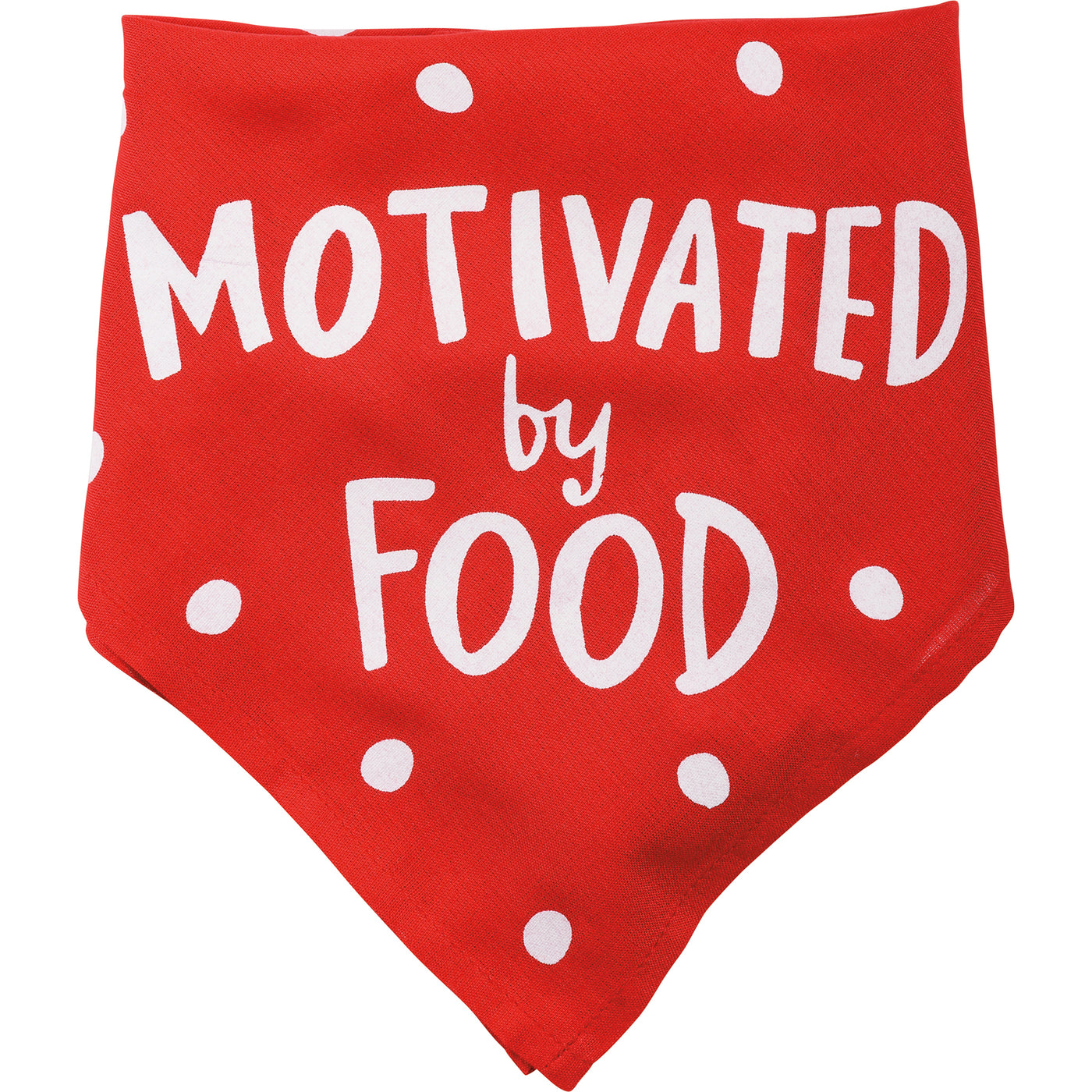 I'll Be Watching You Motivated by Food Large Dog Pet Bandana