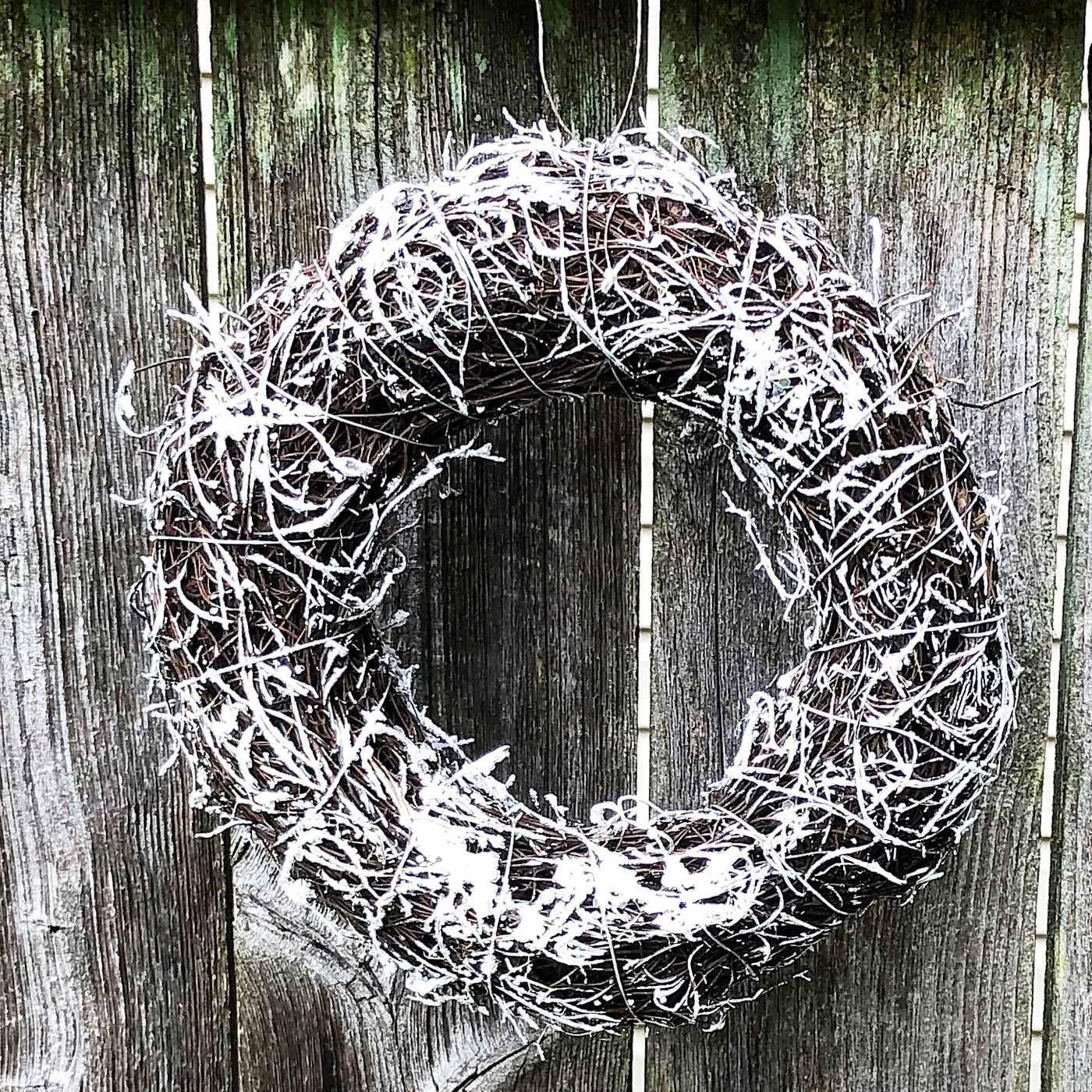 Surprise Me Sale 🤭 Snowy Angel Vine 6" Wreath