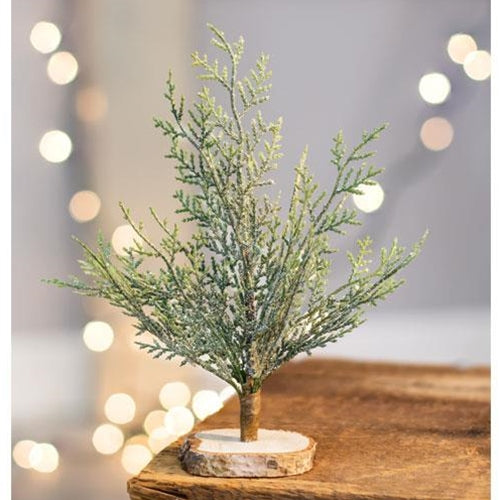 🎄💙 Frosted Cypress Tree 8" Faux Evergreen