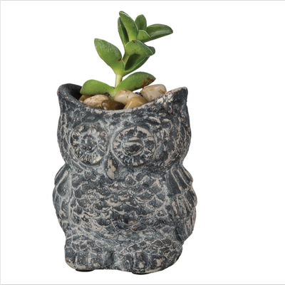 Set of 3 Cement Owl Small Planters