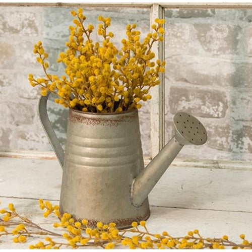 Vintage-style Galvanized Watering Can