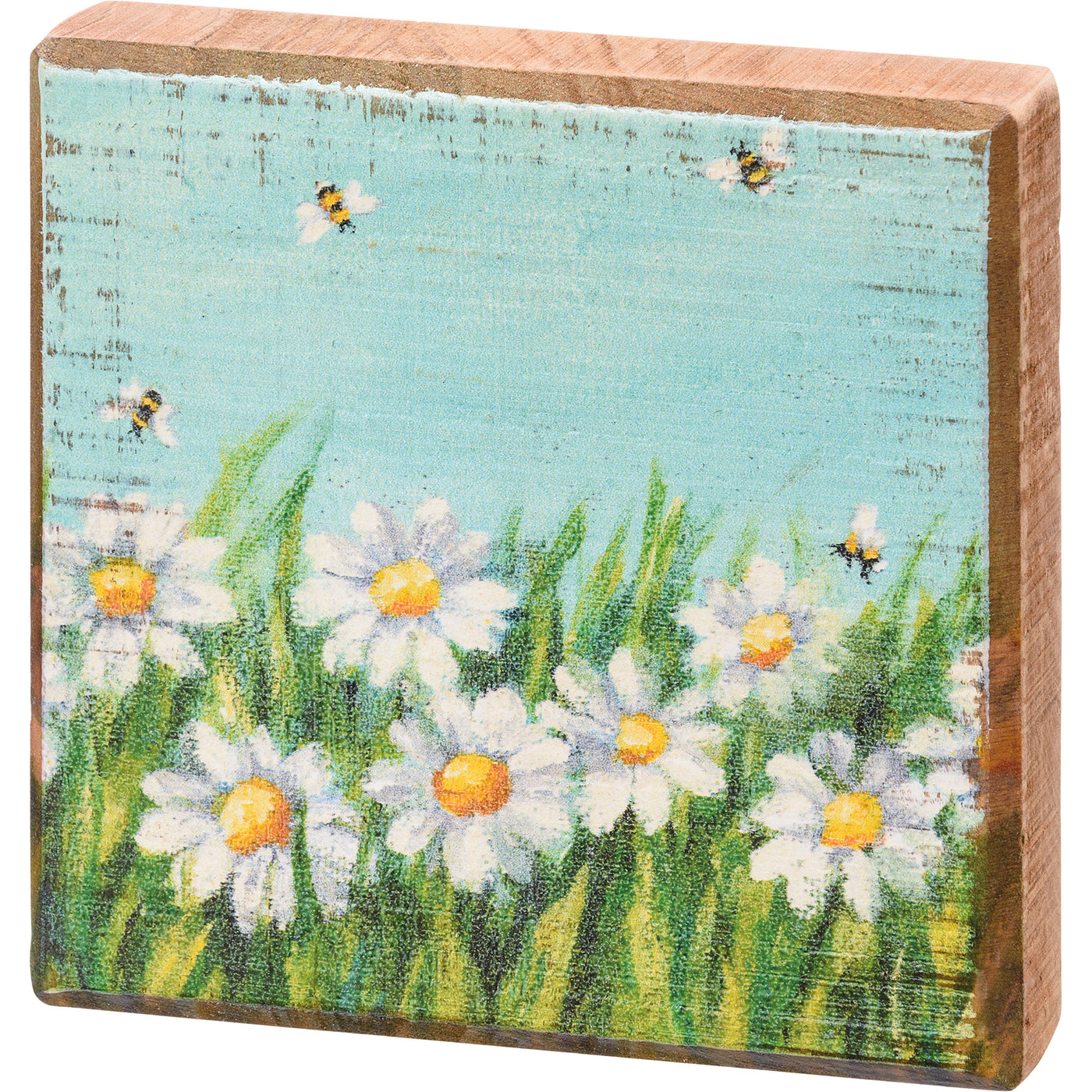 Daisies in the Field Block Sign