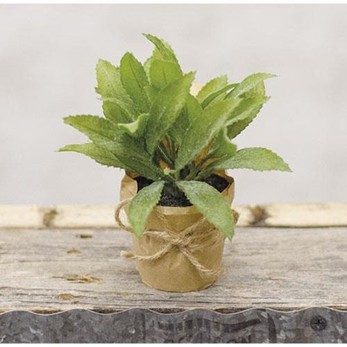 Faux Herb in Paper Covered Pot 6" H