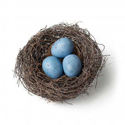 Vine Bird Nest with Natural Blue Eggs 5"