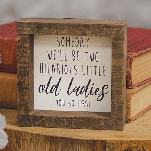 💙 Someday We'll Be Two Hilarious Little Old Ladies Mini Box Sign