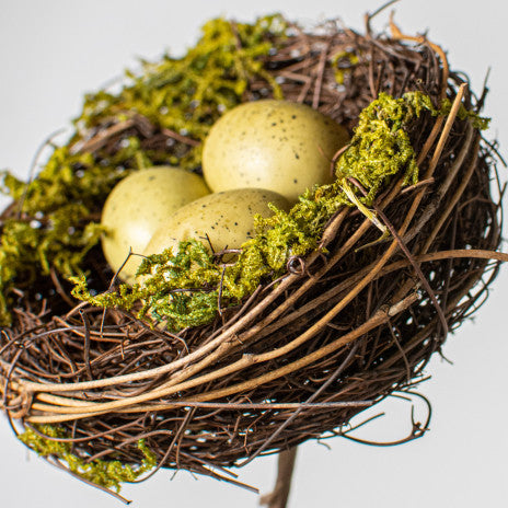 Mossy Bird Nest with Eggs 10" H Pick