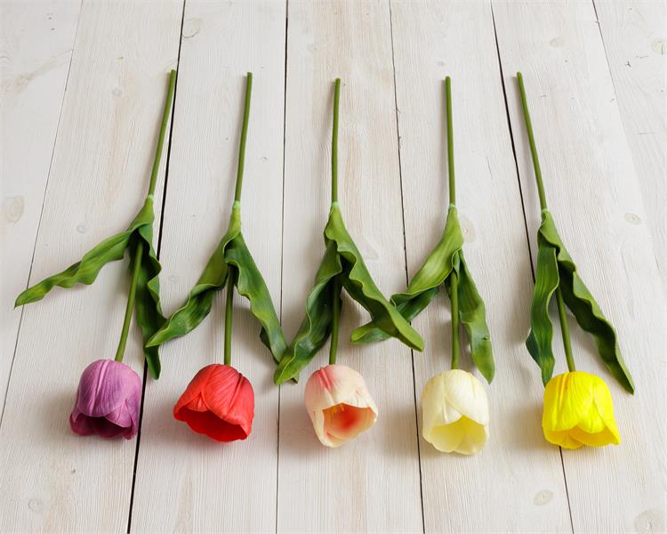 Set of 5 Assorted Colors Large 23.5" L Tulips