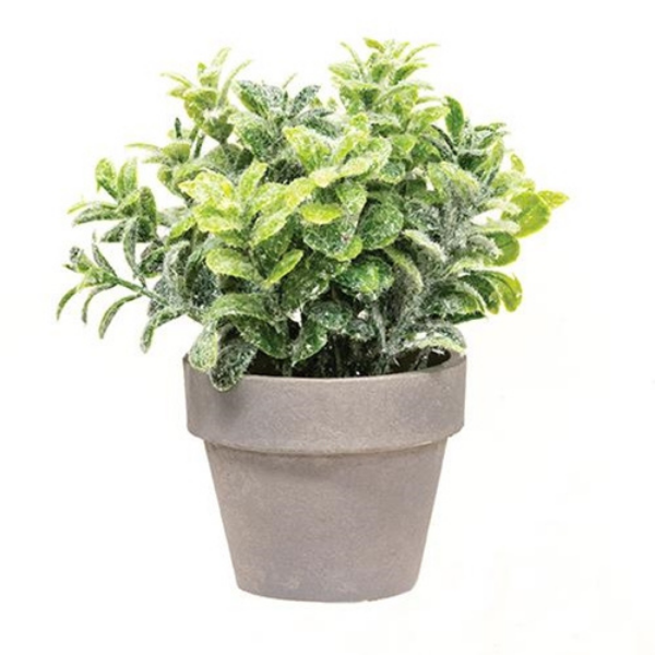 Icy Gatehouse Baby Greens 6.5" H Faux Potted Plant