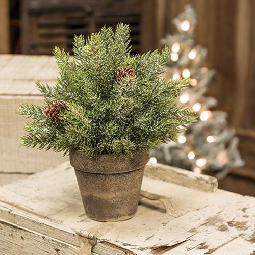 frosted plant pot Frosted Spruce Sphere w/Pot 9