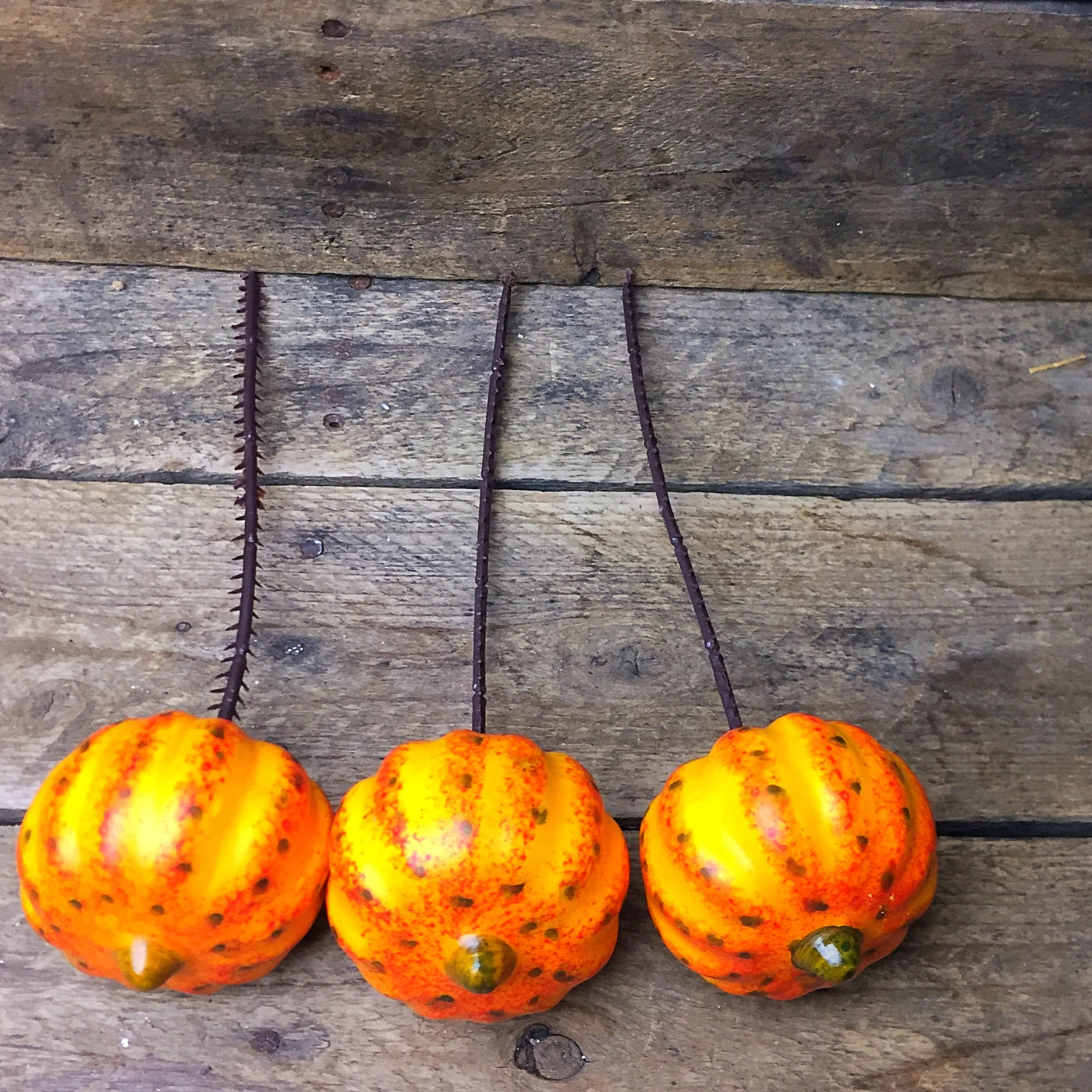 Set of Six Pumpkin and Gourds Decorative Picks