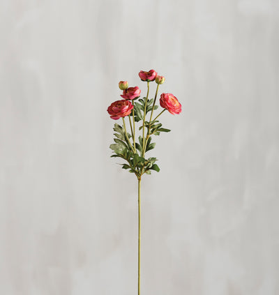 💙 Pink Ranunculus 26" Faux Floral Stem