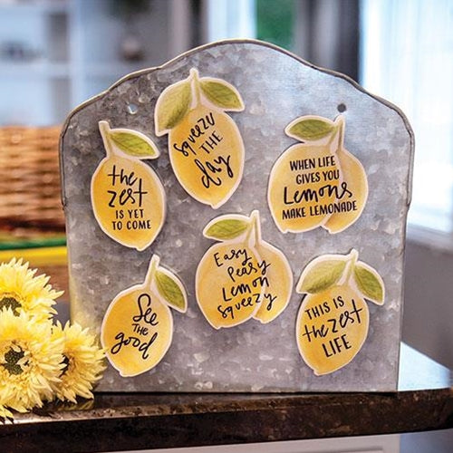 Set of 6 Lemon Sayings Magnets – Blueberry Lane Shop