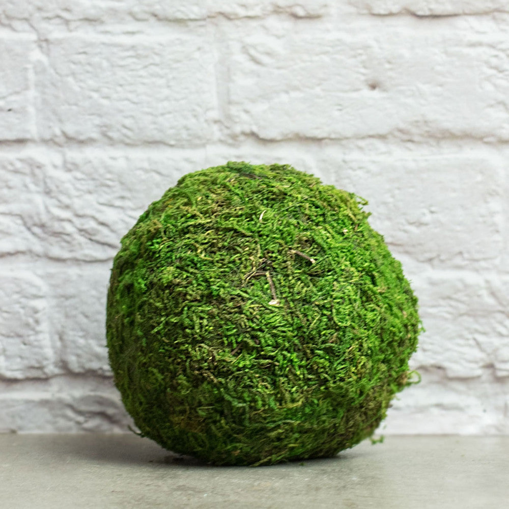 Green Moss 5" Ball Decorating Bowl Filler