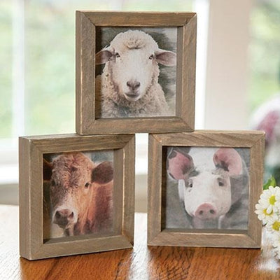 Set of 3 Farm Animal Mini Portrait Framed Signs
