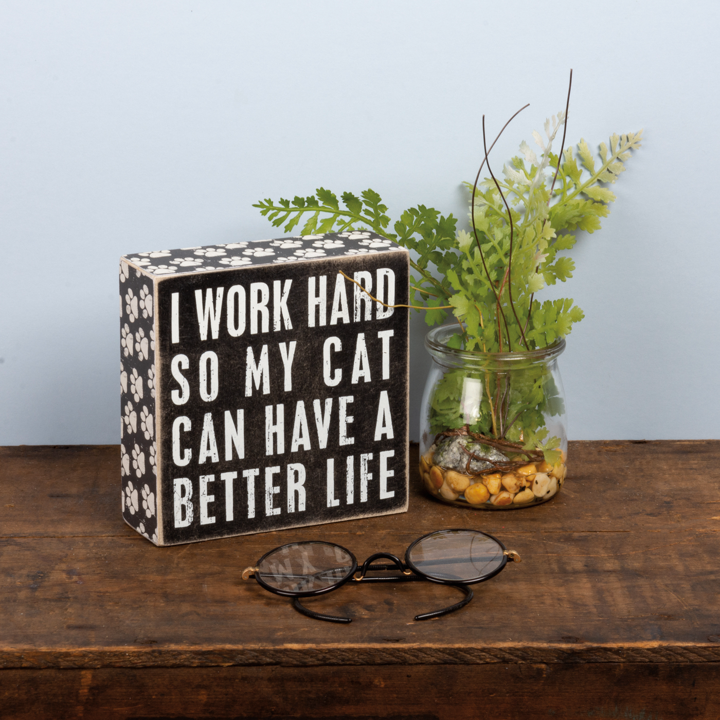 I Work Hard So My Cat Can Have A Better Life Box Sign