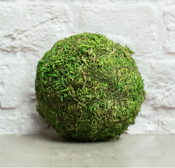Natural Decorative Green/Brown Moss 4" Ball